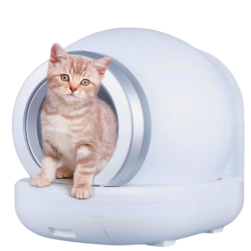 home-ad