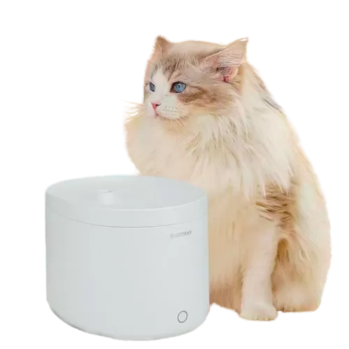 home-ad2